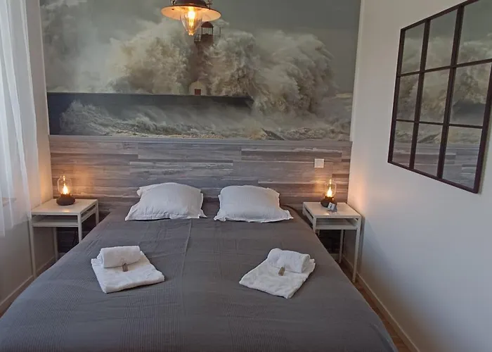 Vega-sils - 26 M2 Caen